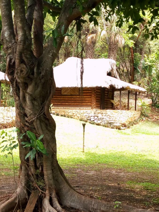 Cabanas Sierraverde Huasteca Potosina'Palo De Rosa Villa Tamasopo Buitenkant foto