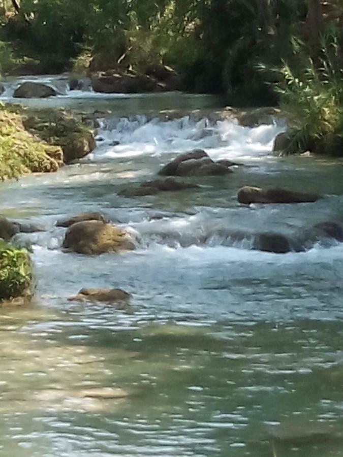 Cabanas Sierraverde Huasteca Potosina'Palo De Rosa Villa Tamasopo Buitenkant foto